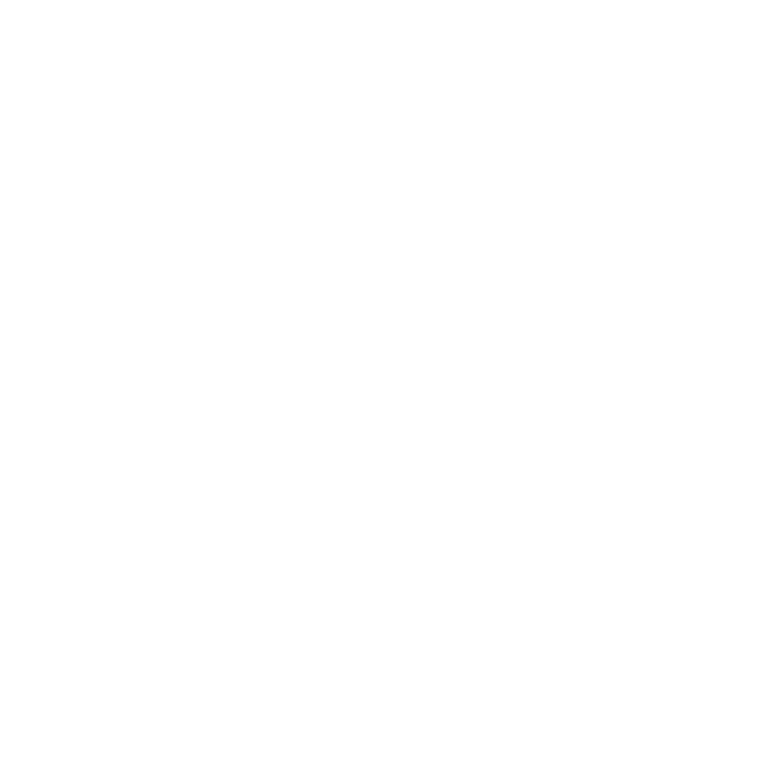 cyber security icon
