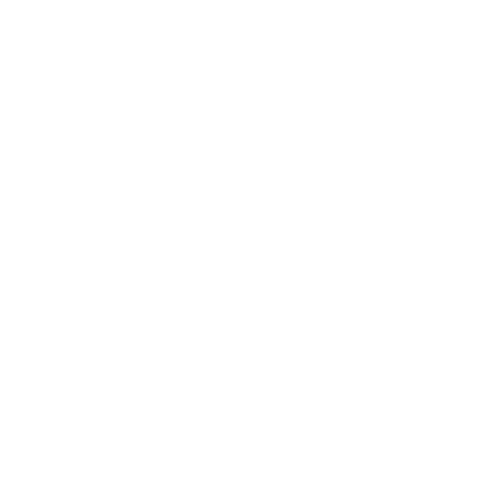 setting icon
