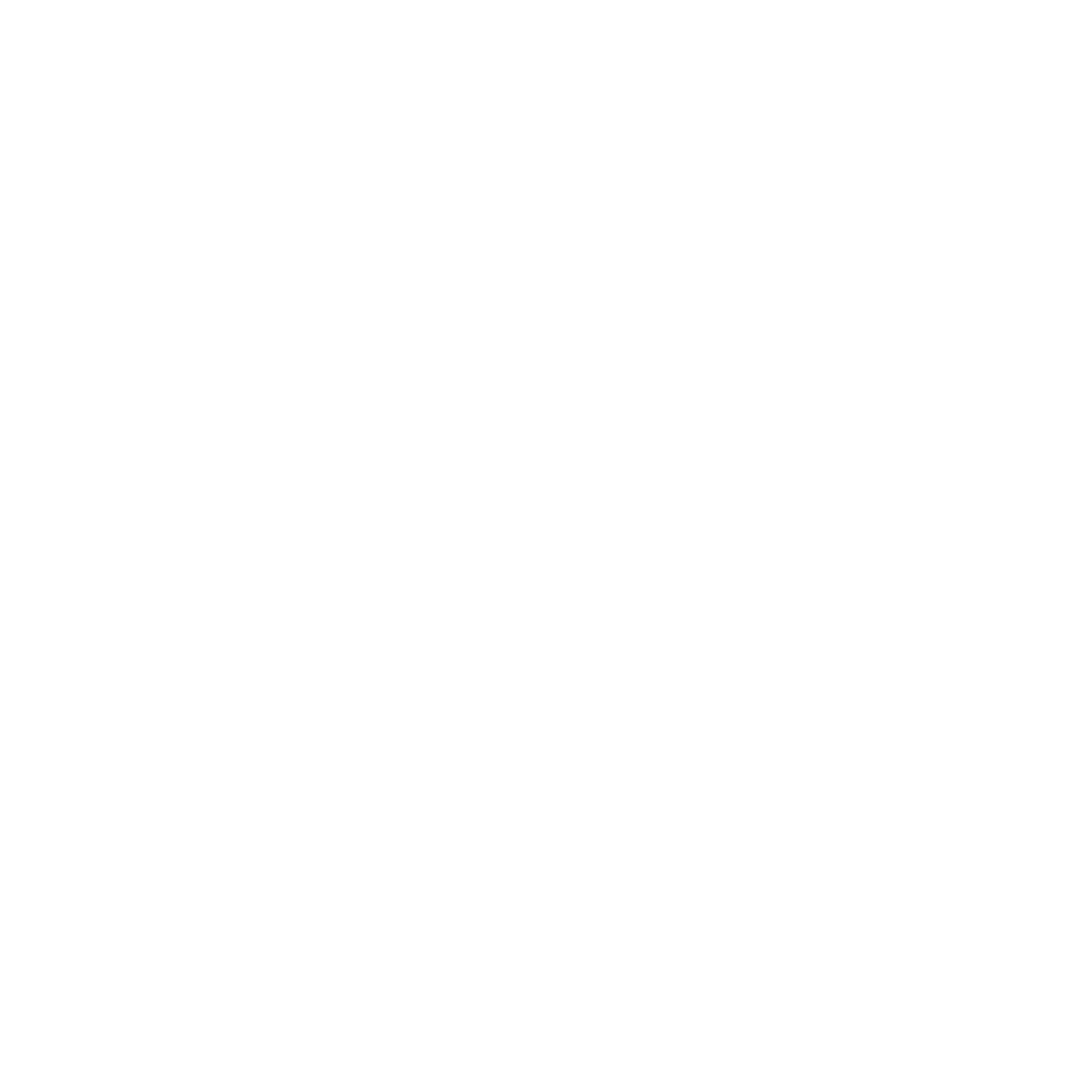 setting icon